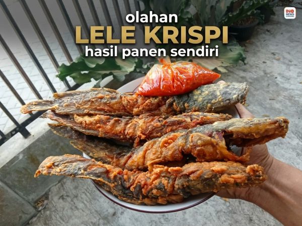 Masak Lele Krispi Sambal Spesial, Santri Miftahunnajah Nikmati Hasil Budidaya Sendiri