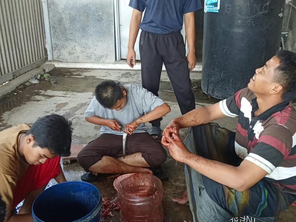 Bukan Sekadar Panen, Santri MA Miftahunnajah Sleman Petik Pengalaman Berharga dari Budidaya Lele